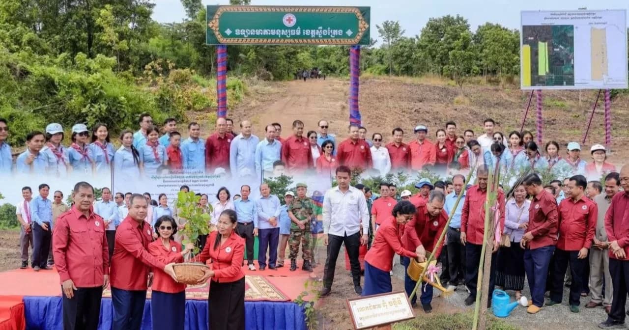 កាកបាទក្រហមកម្ពុជា ខេត្តស្ទឹងត្រែង រៀបចំយុទ្ធការដាំដើមឈើ៤៧៤ដើម នៅ «ឧទ្យានមាតាមនុស្សធម៌»