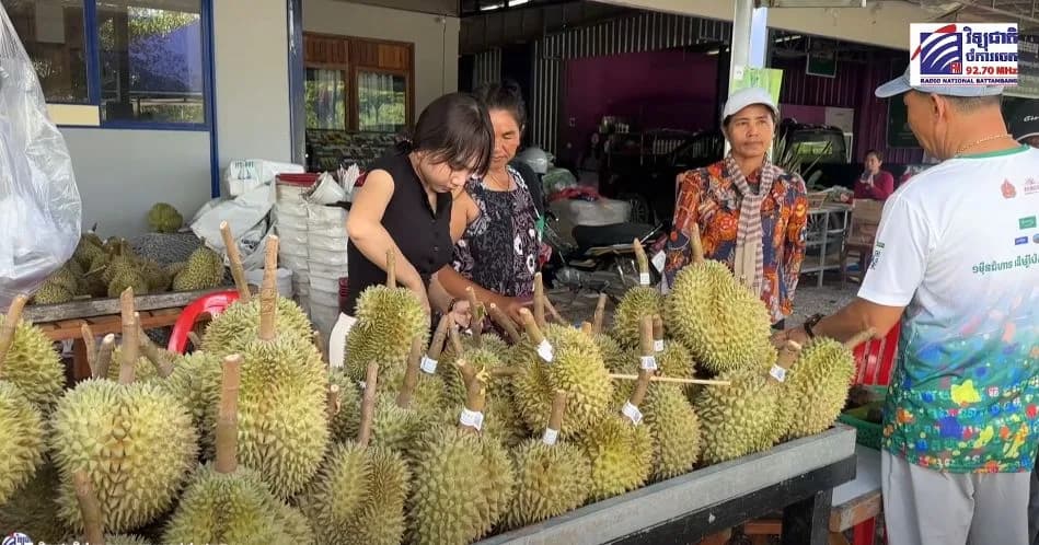 រសជាតិទុរេនទាក់ចិត្ត! រយៈពេល២សប្តាហ៍ភ្ញៀវទេសចរជិត ៥ម៉ឺននាក់ សម្រុកទៅកម្សាន្តនៅស្រុកសំឡូត នាដូវកាលបៃតង
