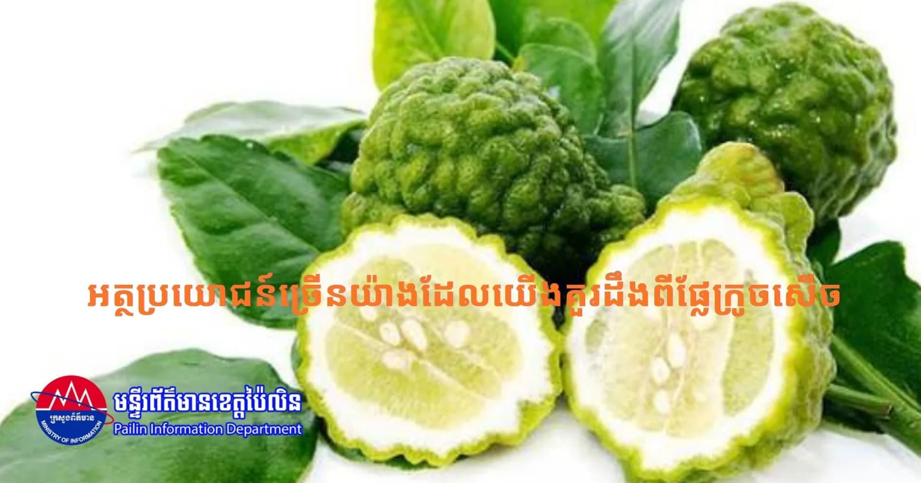 អត្ថប្រយោជន៍ច្រើនយ៉ាងដែលយើងគួរដឹងពីផ្លែក្រូចសើច