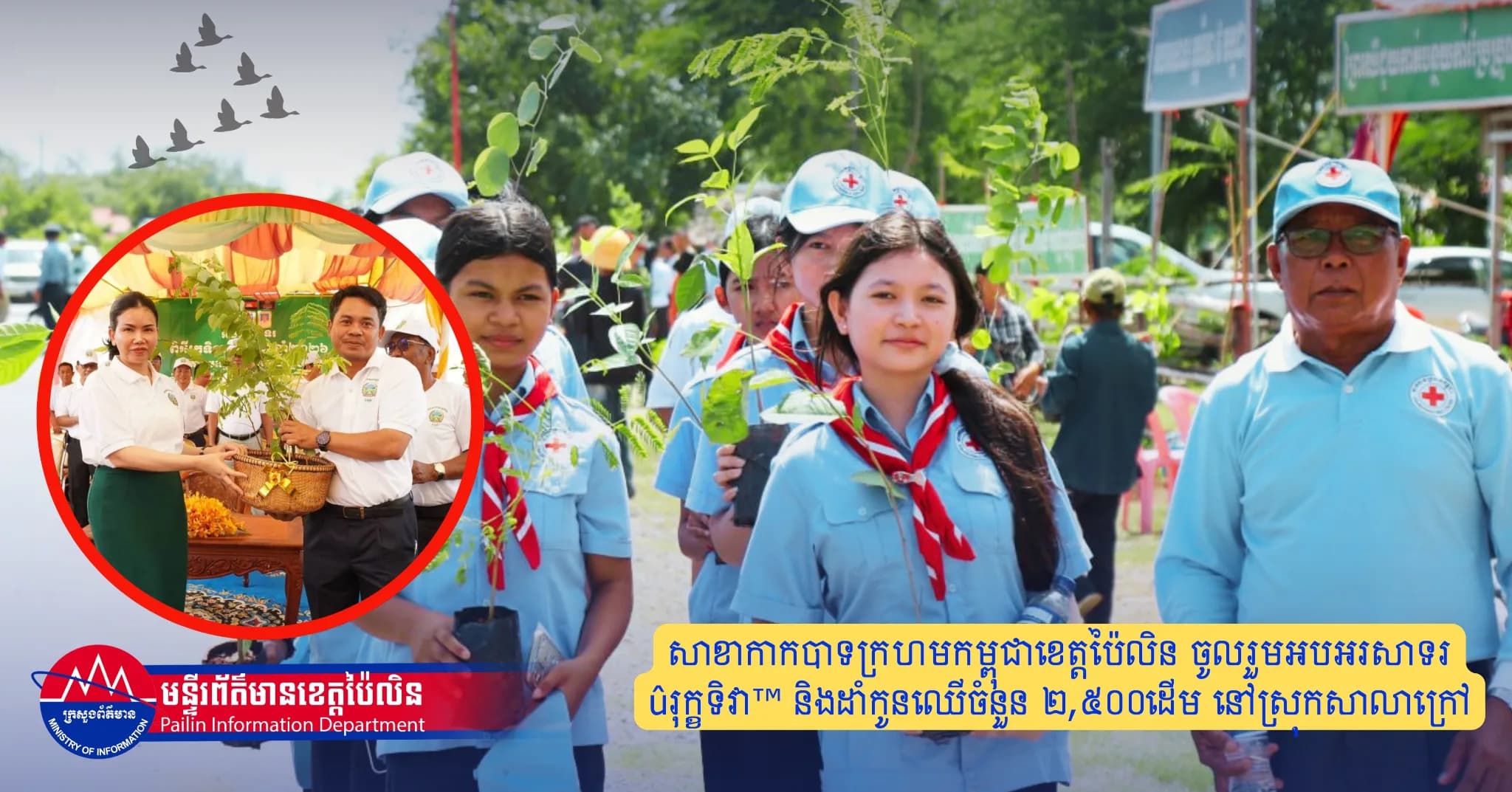 សាខាកាកបាទក្រហមកម្ពុជាខេត្តប៉ៃលិន ចូលរួមអបអរសាទរ «រុក្ខទិវា» និងដាំកូនឈើចំនួន ២,៥០០ដើម នៅស្រុកសាលាក្រៅ