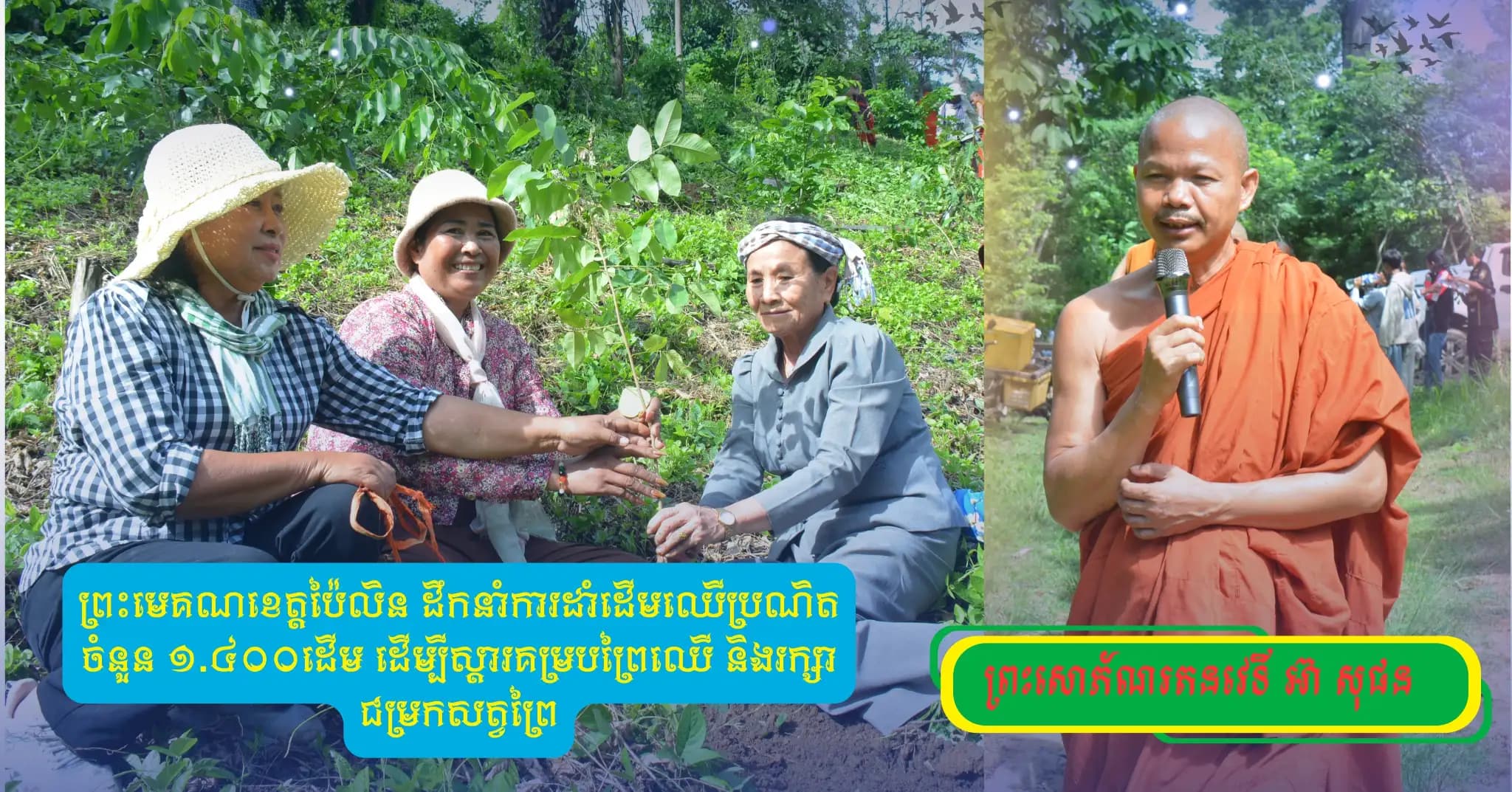 ព័ត៌មាន ទទក ប៉ៃលិន (Video) : ព្រះមេគណខេត្តប៉ៃលិន ដឹកនាំការដាំដើមឈើប្រណិត ចំនួន ១.៤០០ដើម ដើម្បីស្តារគម្របព្រៃឈើ និងរក្សាជម្រកសត្វព្រៃ